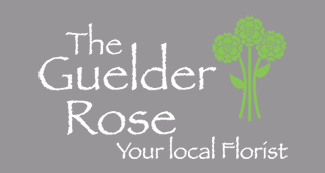 The Guelder Rose
