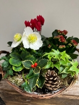 Christmas Planter